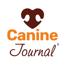 Canine journal influencer marketing case study