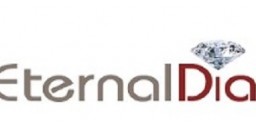 Read more about the article Eternal Dia Case Study